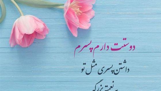 عکس نوشته پسر داشتن یعنی