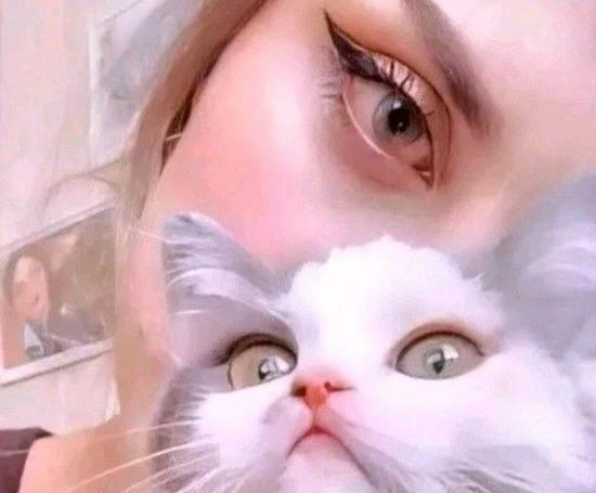عکس فیک با گربه
