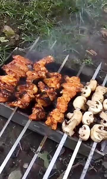 عکس فیک کباب در شب