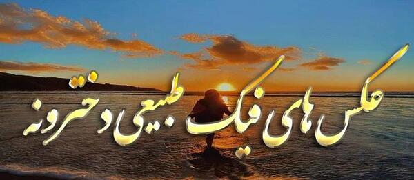 چندتا عکس فیک شبیه هم
