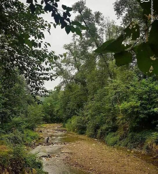 عکس فیک تو شمال