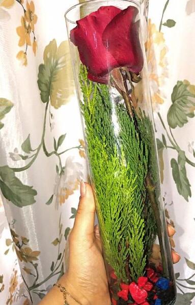 عکس فیک شاخه گل