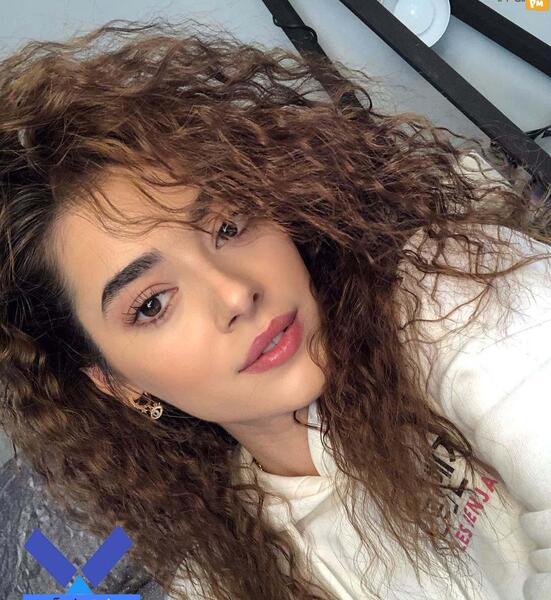 عکس هالیت