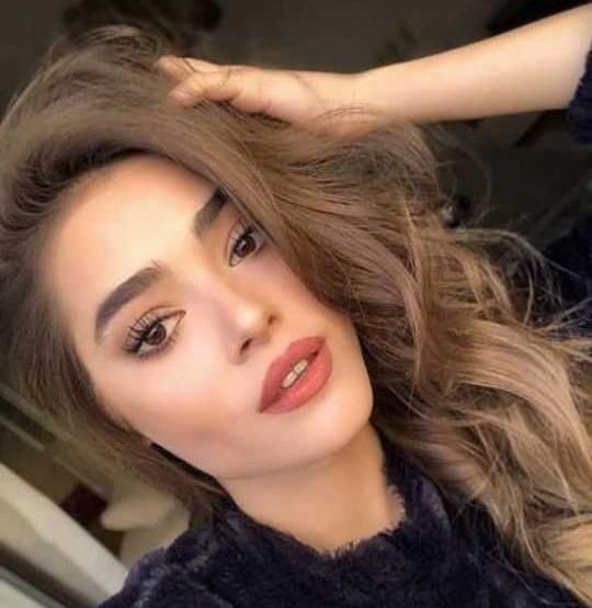 عکس هالیت و سیمای