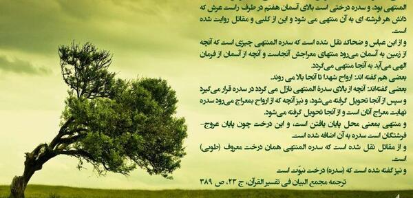 عکس درخت طوبی در بهشت