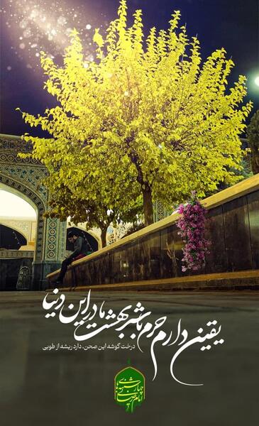 عکس درخت طوبی در بهشت