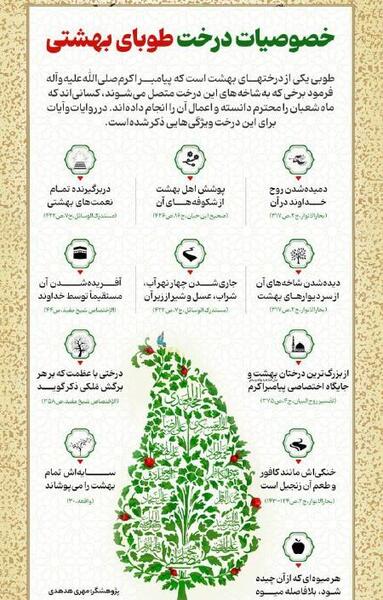 عکس درخت طوبی در بهشت