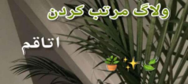 اتاق عکس سلنا دنسر در ترکیه