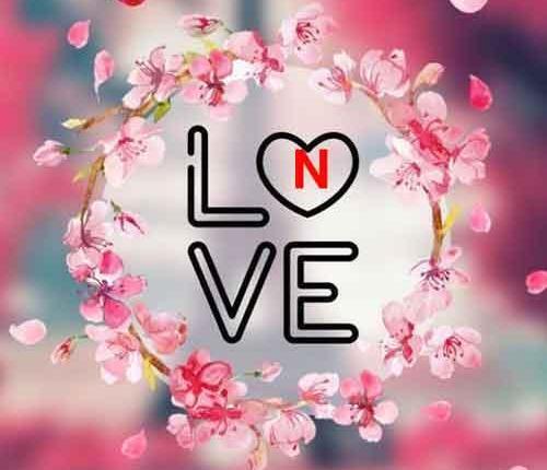 عکس پروفایل سرنام n