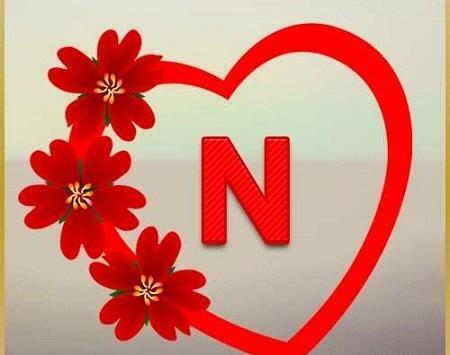 عکس پروفایل سرنام n