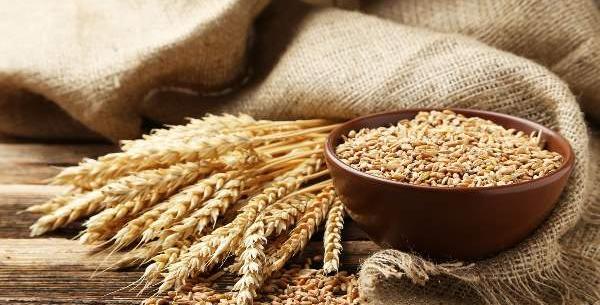 عکس حلوای ایرمیک