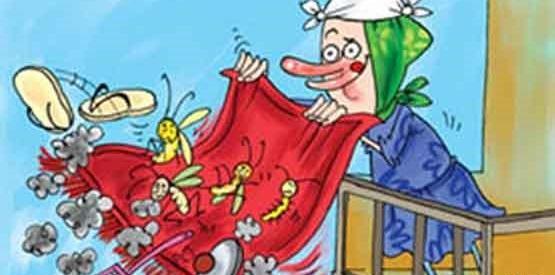 عکس از خانه تکانی عید نوروز