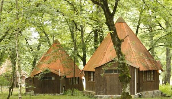 عکس خانه جنگلی زیبا