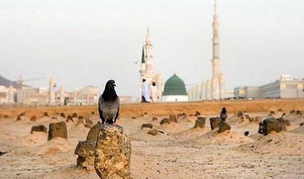 عکس خانه حضرت زهرا واقعی
