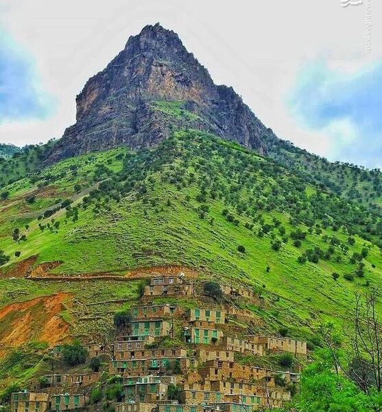 عکس خانه در طبیعت سرسبز