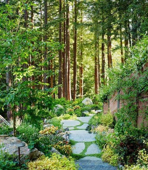 عکس خانه ای در طبیعت