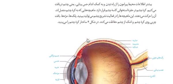 عکس چشم زیست یازدهم
