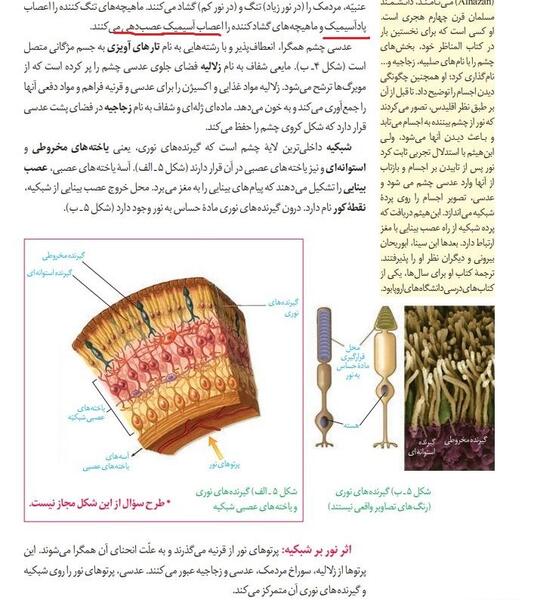 عکس چشم زیست یازدهم