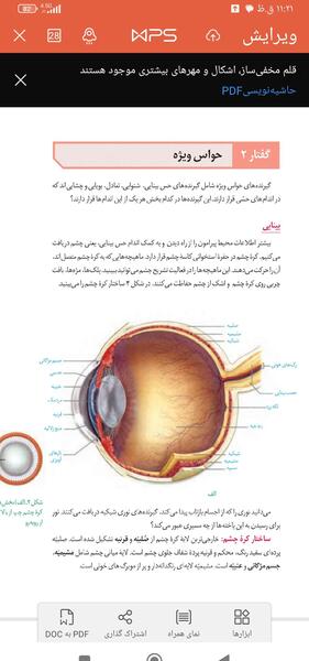عکس چشم زیست یازدهم