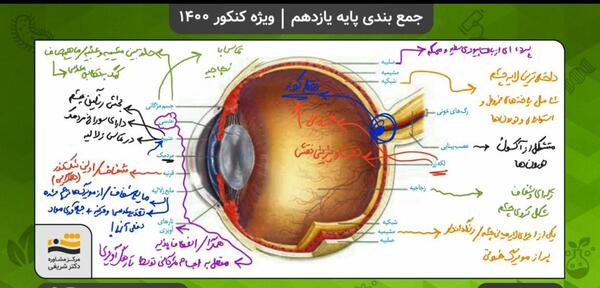 عکس چشم زیست یازدهم