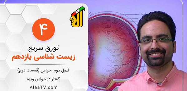 عکس چشم زیست یازدهم