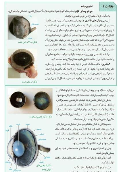 عکس چشم زیست یازدهم