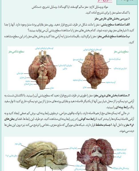 عکس چشم کتاب زیست یازدهم
