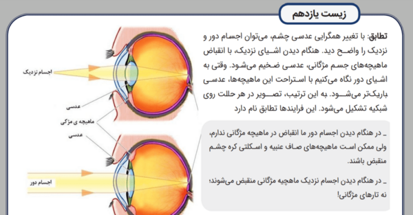 عکس چشم کتاب زیست یازدهم