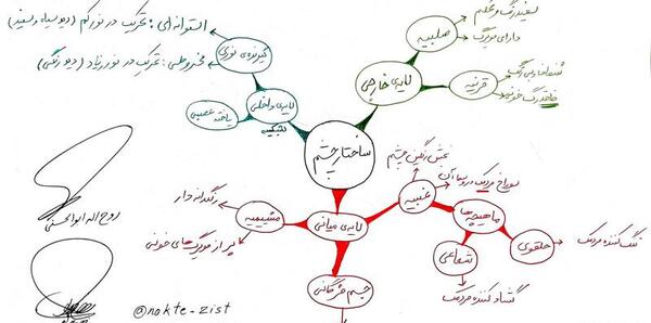 عکس چشم کتاب زیست یازدهم