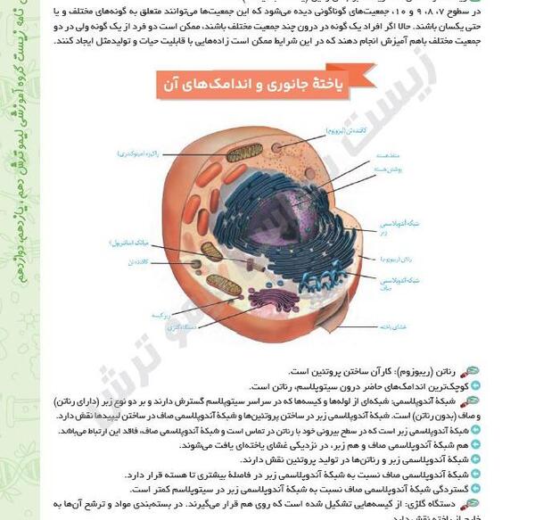 عکس چشم کتاب زیست یازدهم