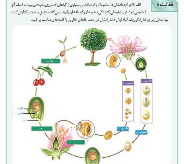 عکس چشم کتاب زیست یازدهم