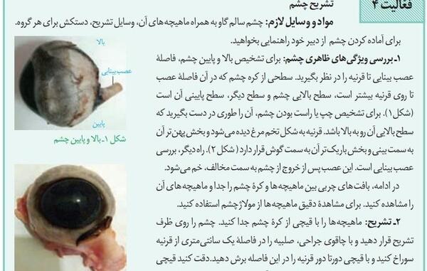 عکس کره چشم زیست یازدهم