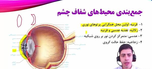 عکس کره چشم زیست یازدهم