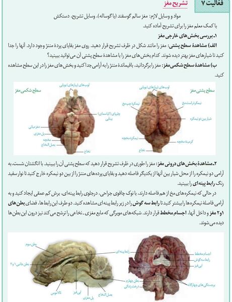 عکس کره چشم زیست یازدهم