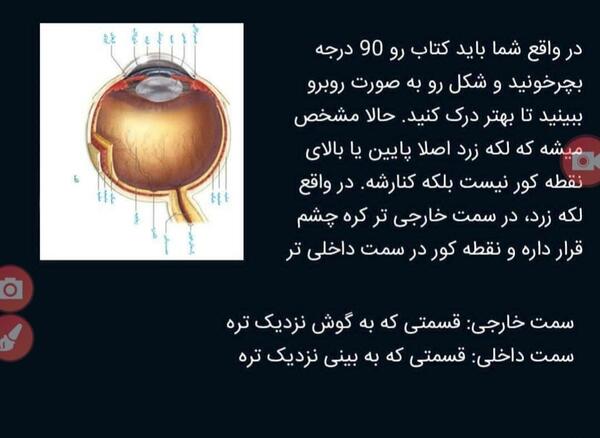 عکس کره چشم زیست یازدهم