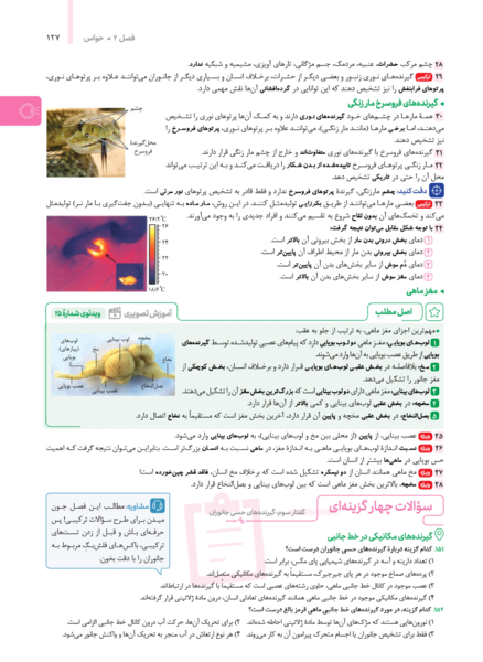 عکس ساختار چشم زیست یازدهم