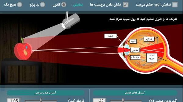 عکس ساختار چشم زیست یازدهم