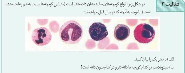 عکس ساختار چشم زیست یازدهم