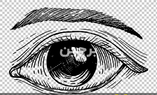 عکس چشم نقاشی چشم