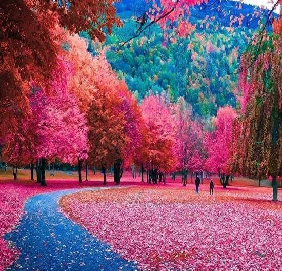 عکس پروفایل خانه رویایی