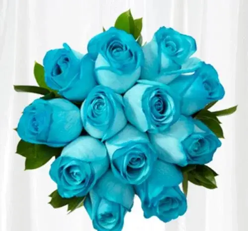 عکس گل برای وضعیت واتساپ
