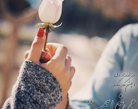 عکس گل زیبا برای وضعیت