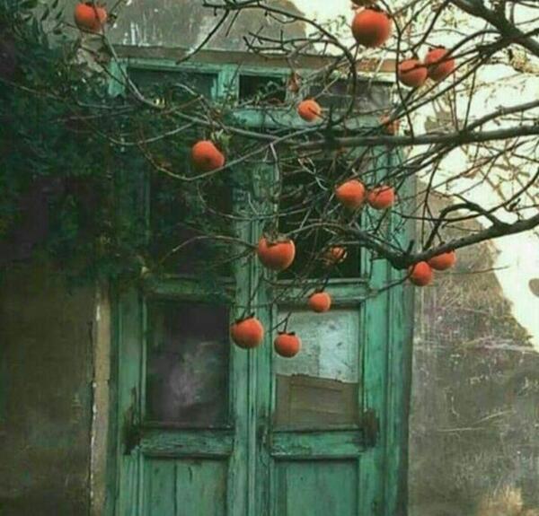 عکس خانه قدیمی ایرانی