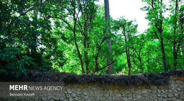عکس خانه های قصردشت شیراز