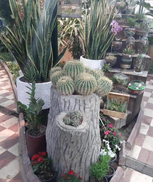 عکس خانه های قصردشت شیراز
