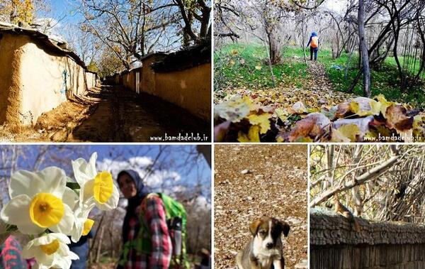 عکس خانه های قصردشت شیراز