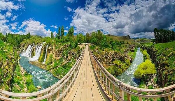 عکس خانه گربه ها در وان