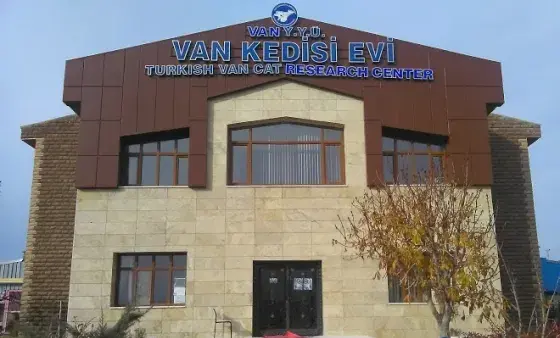 عکس خانه گربه ها در وان