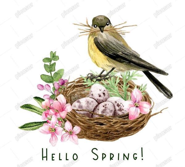 عکس لانه گنجشک نقاشی