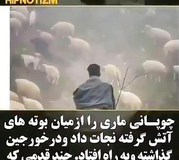 عکس پند آموز برای وضعیت